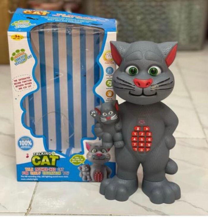 TALKING CAT