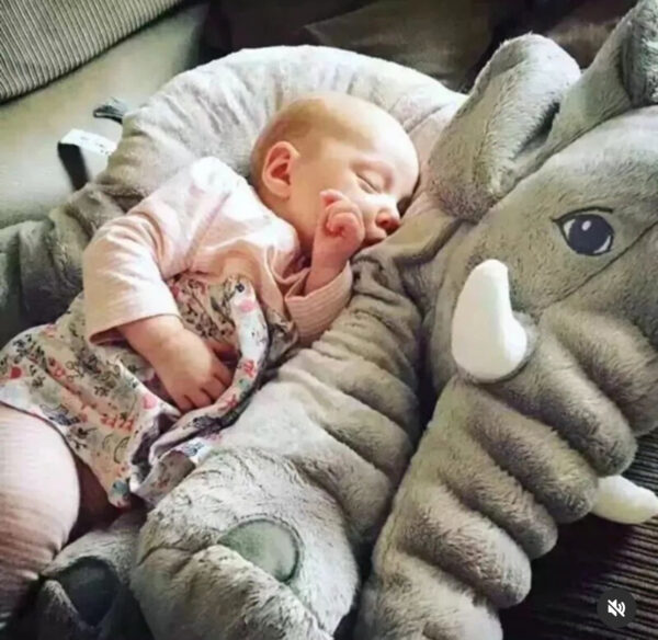 Elephant tusk and snuggles - Image 4