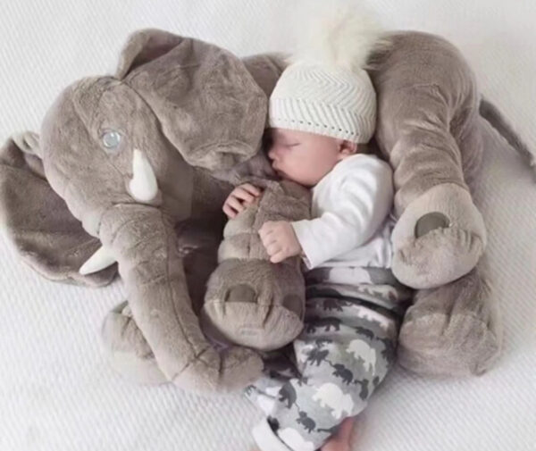 Elephant tusk and snuggles - Image 3