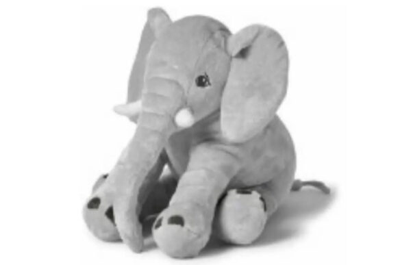 Elephant tusk and snuggles